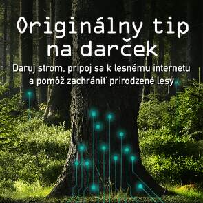 Daruj strom
