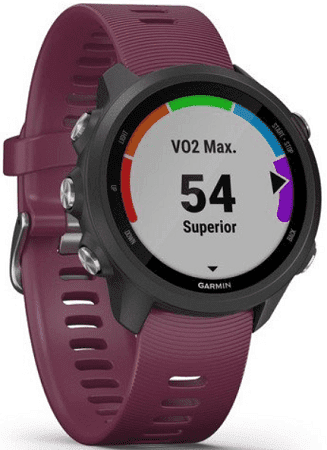 forerunner 245 cena