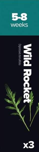 Rukola tenkolistá Plantui Wild Rocket Rukola tenkolistá (3ks)