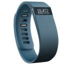 FITBIT Charge, Large - Slate