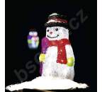 EMOS ZY1409, Vianočný snehuliak LED CW_5
