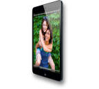 APPLE iPad mini with Wi-Fi + Cellular 32GB, Black & Slate MD541SL/A