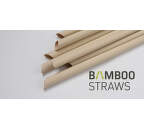 Bamboo Straws BS0623 (50ks)
