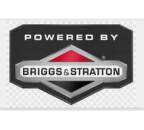 motor Briggs&Stratton
