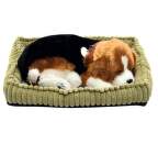 SOMOGYI Beagle dýchajúci pes