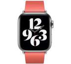 Apple_Watch_Series_6_Cellular_40mm_Stainless_Steel_Pink_Citrus_Modern_Buckle_Pure_Front_Screen__USEN