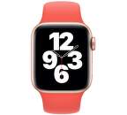 Apple Watch 40 mm športový remienok citrusovo ružový štandardný