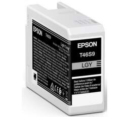 Epson T46S9 Light Gray