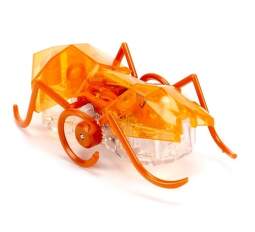 Hexbug Micro Ant robotická hračka oranžová.1