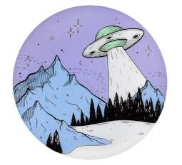 Waboba Wingman UFO (1)