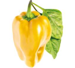 Click and Grow Sladká žltá paprika