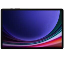 Samsung Galaxy Tab S9 Ultra Wi-Fi 256GB grafitový