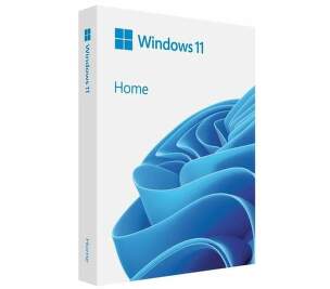 Microsoft Windows 11 Home CZ USB (HAJ-00105)